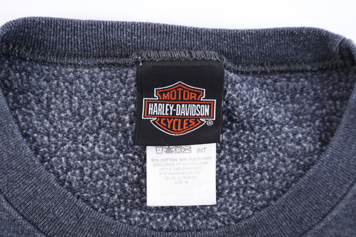 Harley Davidson Motorcycles Texas Sweatshirt product image 3