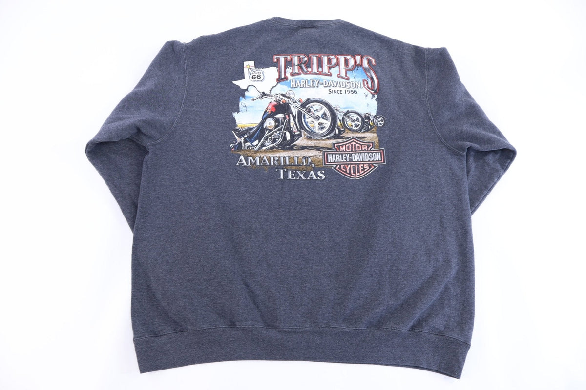 Harley Davidson Motorcycles Texas Sweatshirt product image 2
