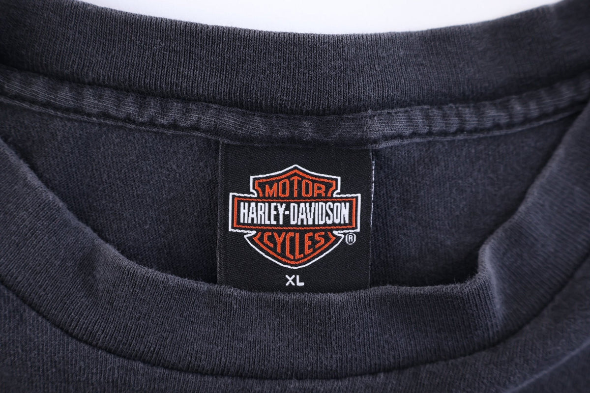 Harley Davidson Motorcycles Texas T-shirt product image 3