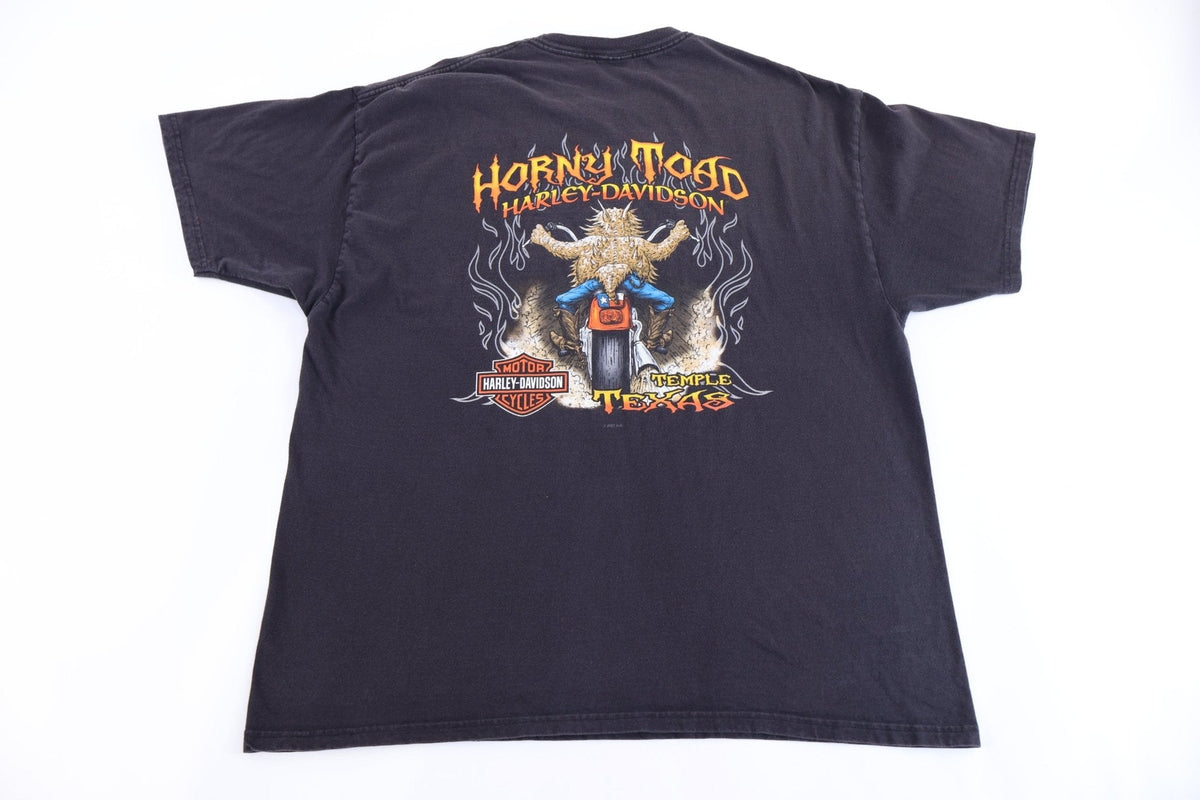 Harley Davidson Motorcycles Texas T-shirt product image 2